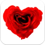 imagenes amor bonitas android application logo